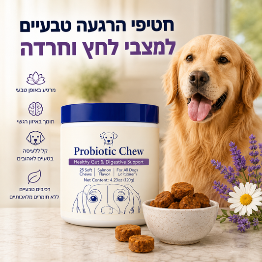 חטיפי הרגעה טבעיים למצבי לחץ וחרדה