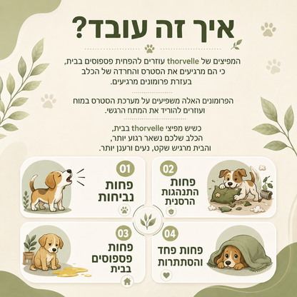 ניחוח מוכח מדעית נגד חרדה ושתן של כלבים