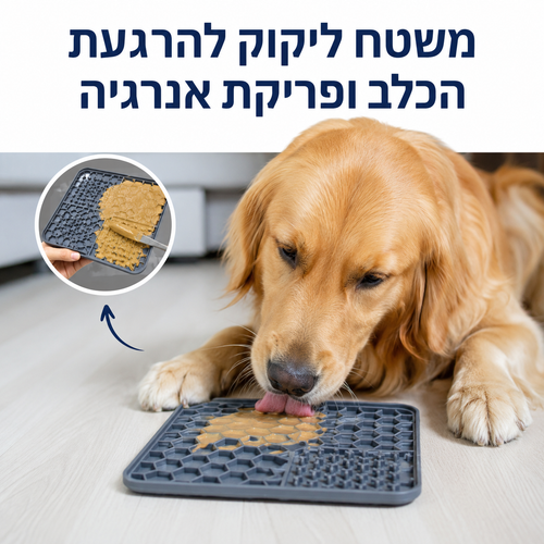 משטח ליקוק להרגעת הכלב ופריקת אנרגיה